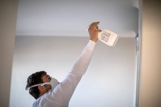 Best Mold Removal Near Me  in Seven Lakes, NC