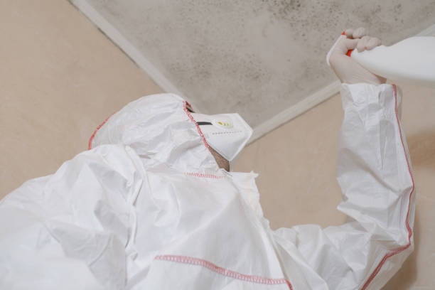 Best Black Mold Removal  in Seven Lakes, NC